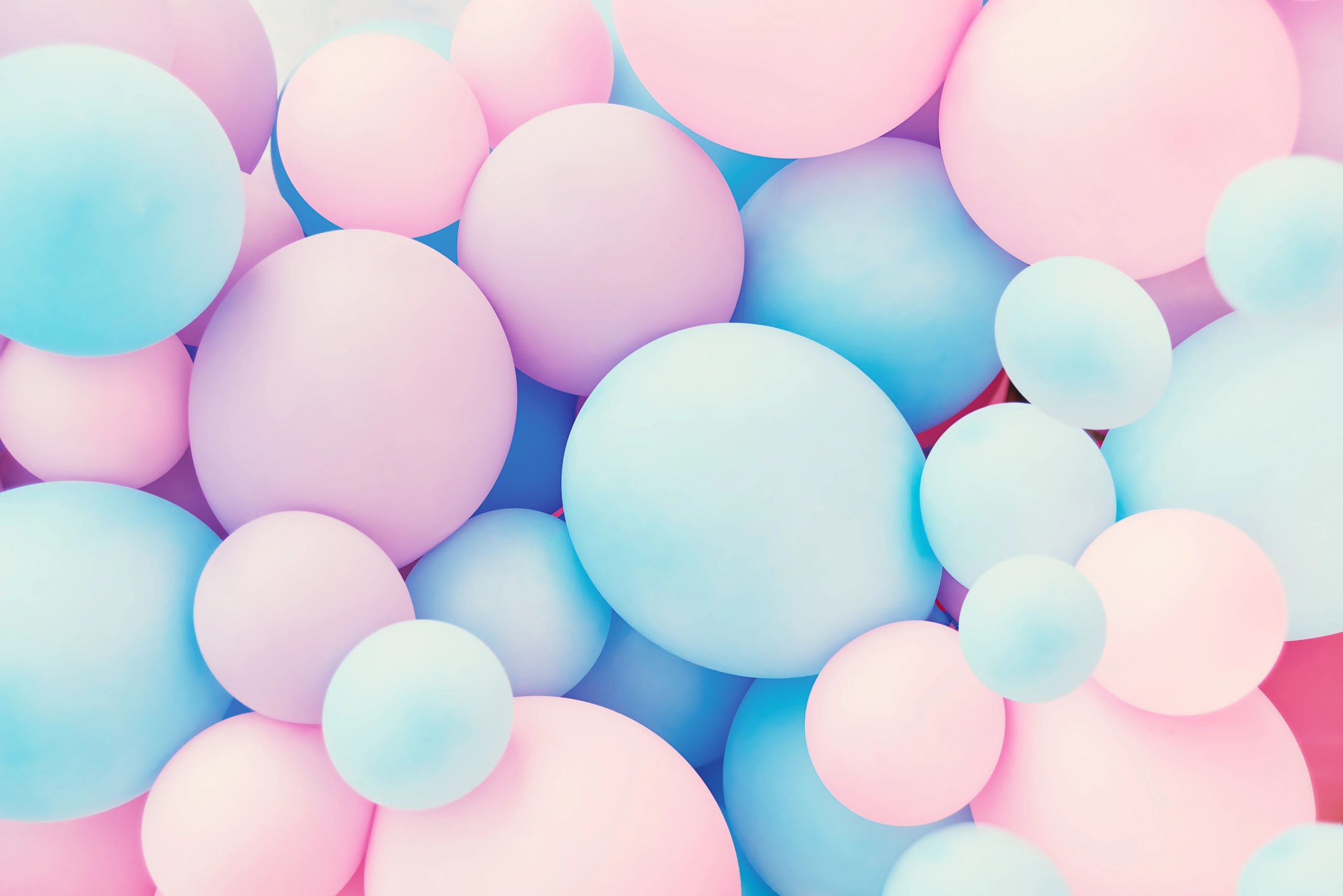 Pastel balloon photo wall suitable for celebratory event backdrops